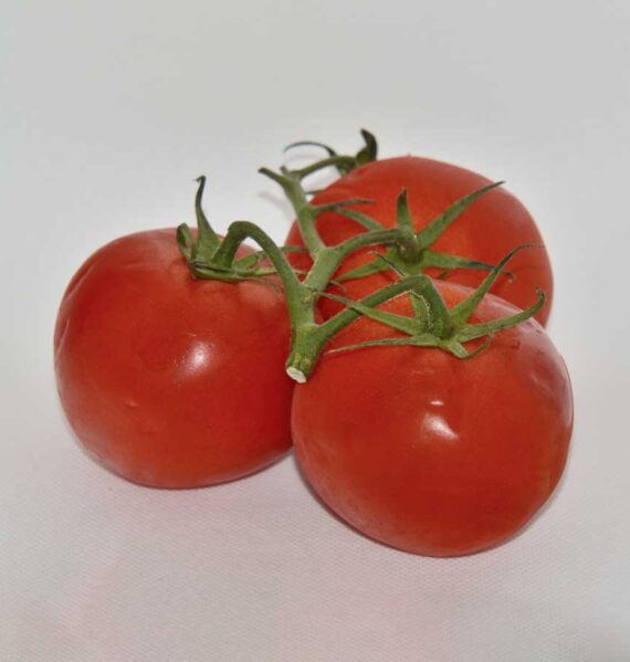 Tros tomaten op een witte achtergrond.