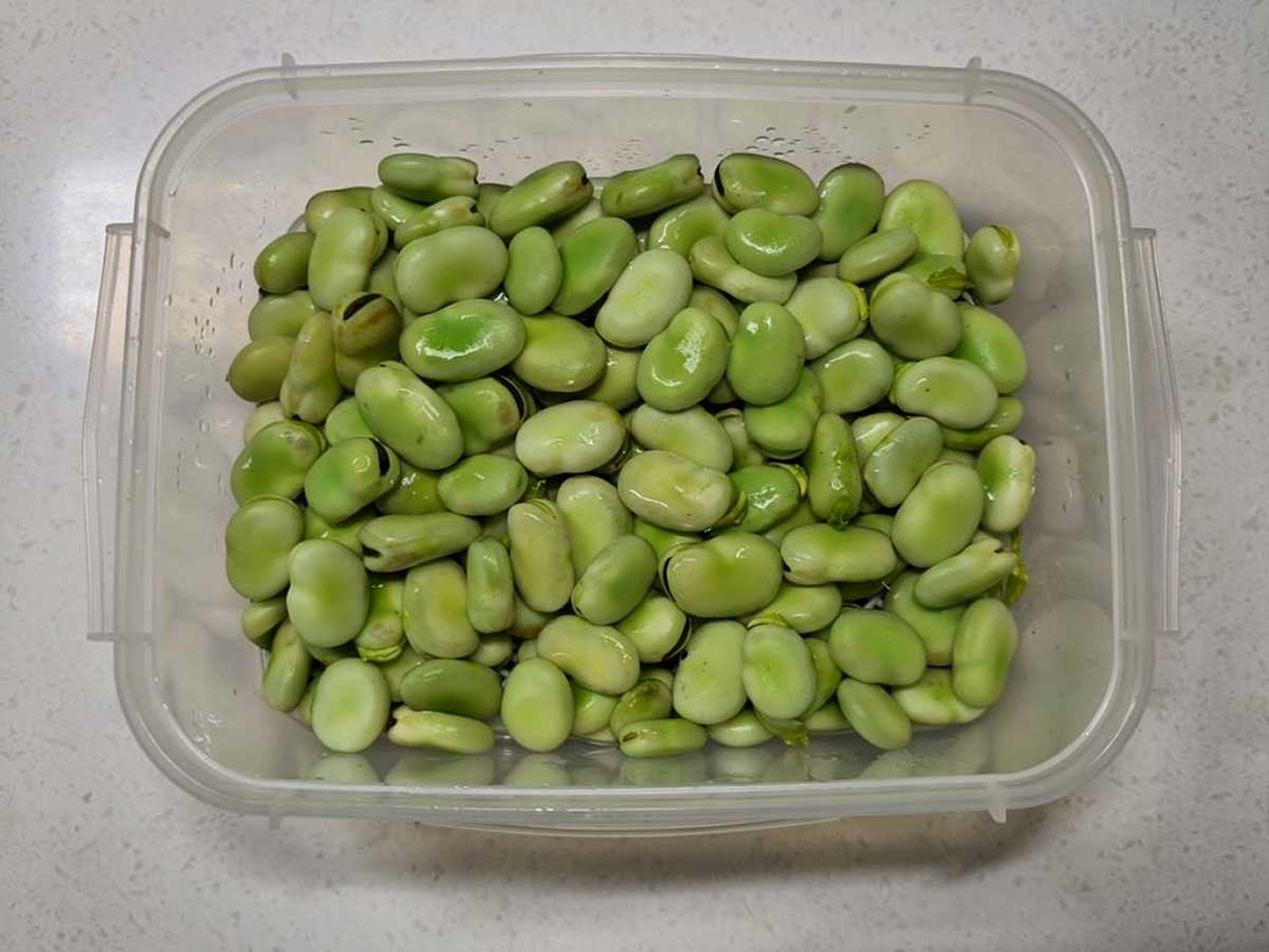 Een diepvriesbak met geblacnheerde tuinbonen, klaar om ingevroren te worden.