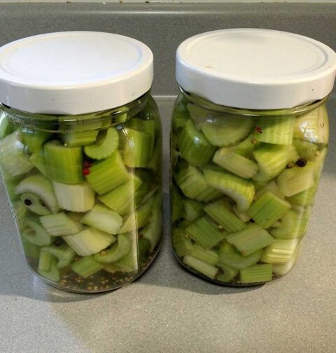 Twee grote inmaakpotten met daarin ingemaakte stukjes bleekselderij.