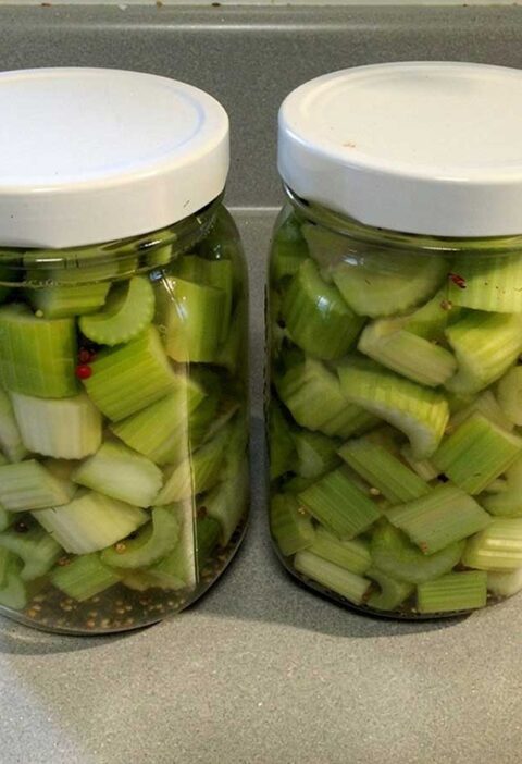 Twee grote inmaakpotten met daarin ingemaakte stukjes bleekselderij.