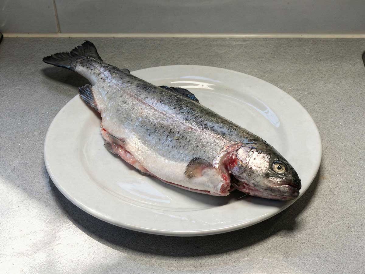 Een hele, schoongemaakte forl om in te vriezen.