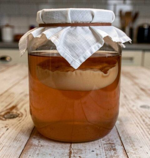 Een grote, afgedekte inmaakpot met daarin zelfgemaakte kombucha.