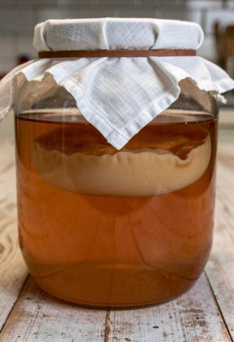 Een grote, afgedekte inmaakpot met daarin zelfgemaakte kombucha.