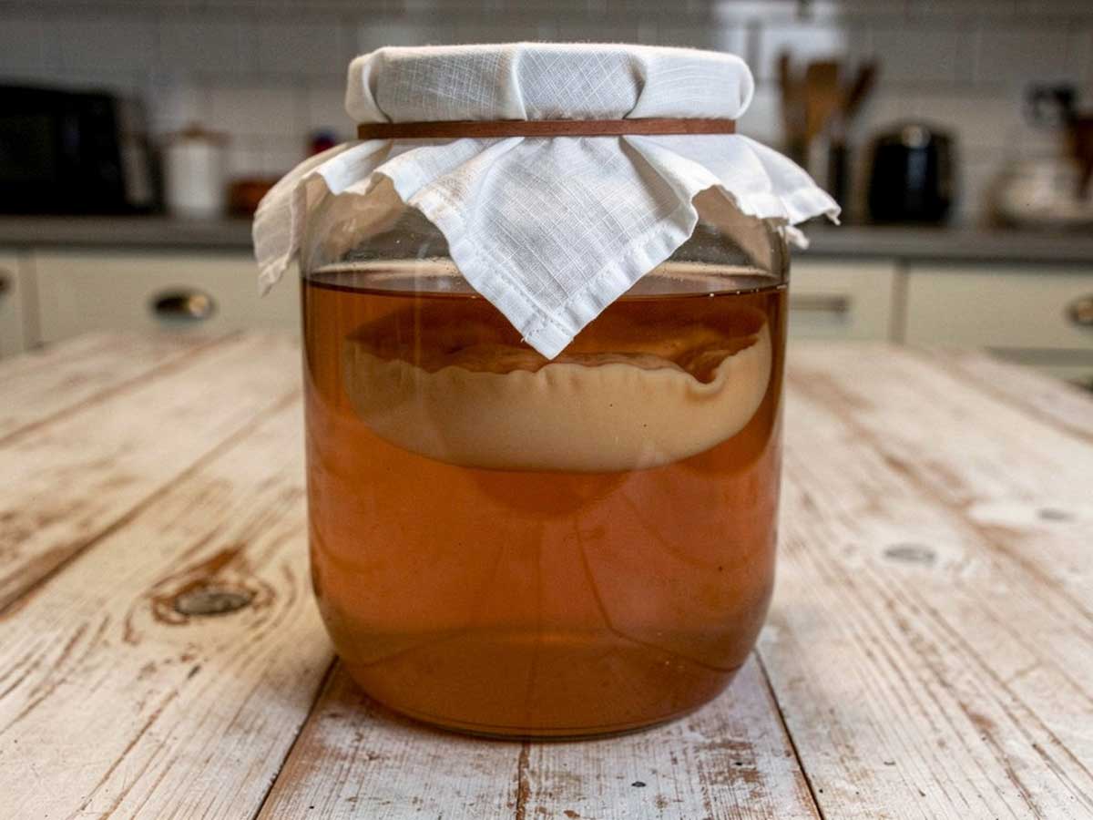 Een grote, afgedekte inmaakpot met daarin zelfgemaakte kombucha.