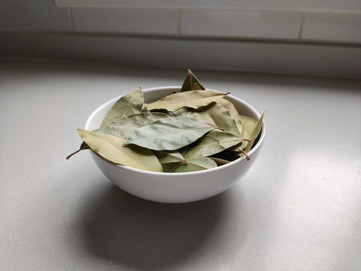 Een wit schaaltje met daarin zelf gedroogde laurierbladeren.