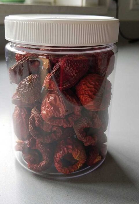Een voorraadbus vol met gedroogde hele paprika, zonder stelen, zaad of zaadlijsten.