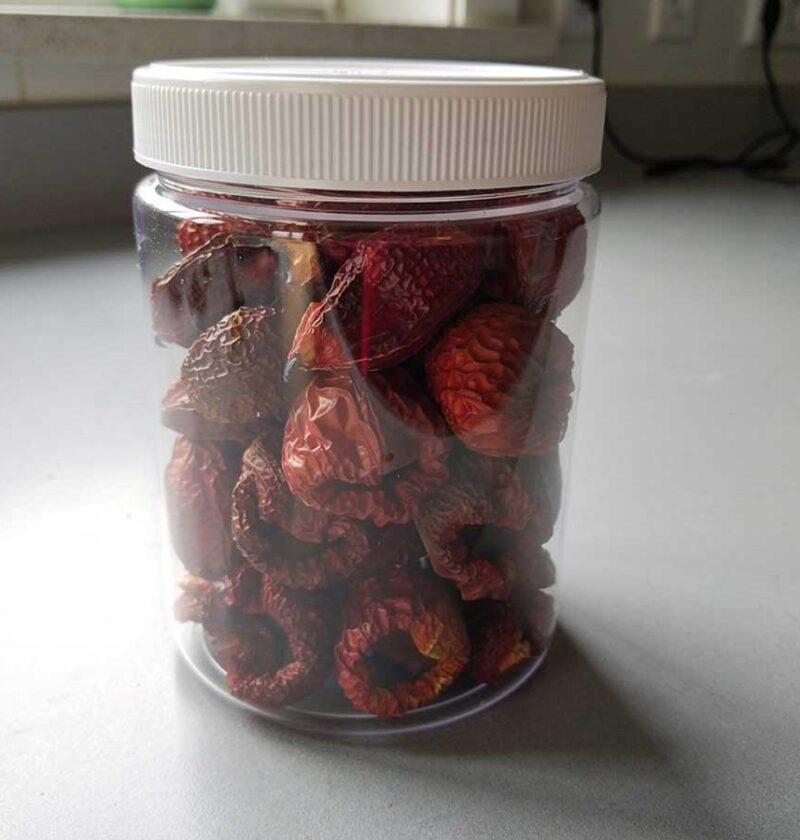 Een voorraadbus vol met gedroogde hele paprika, zonder stelen, zaad of zaadlijsten.