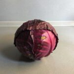 Vijgen drogen