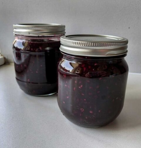 2 jampotten met zelfgemaakte bosbessenjam zonder suiker.