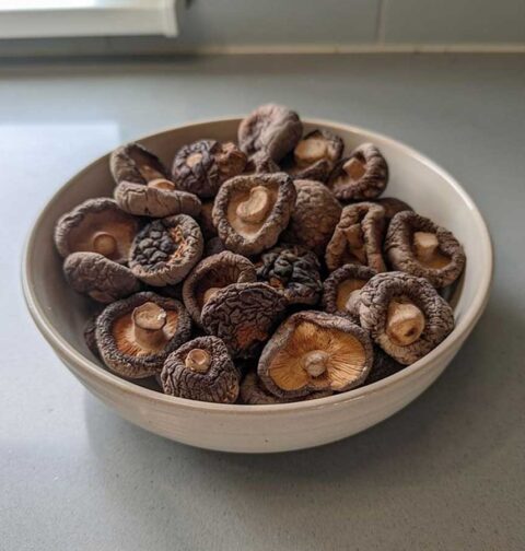 Een schaaltje met hele, gedroogde shiitake.