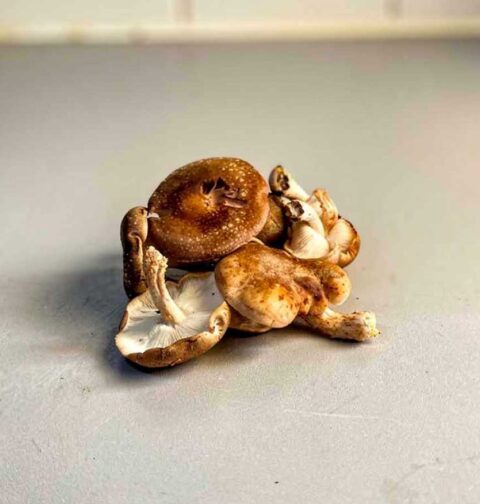 Een portie verse shiitake op een werkblad.