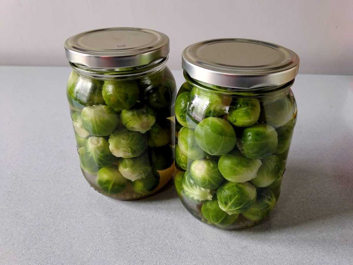 2 inmaakpotten helemaal gevuld met ingemaakte spruitjes.