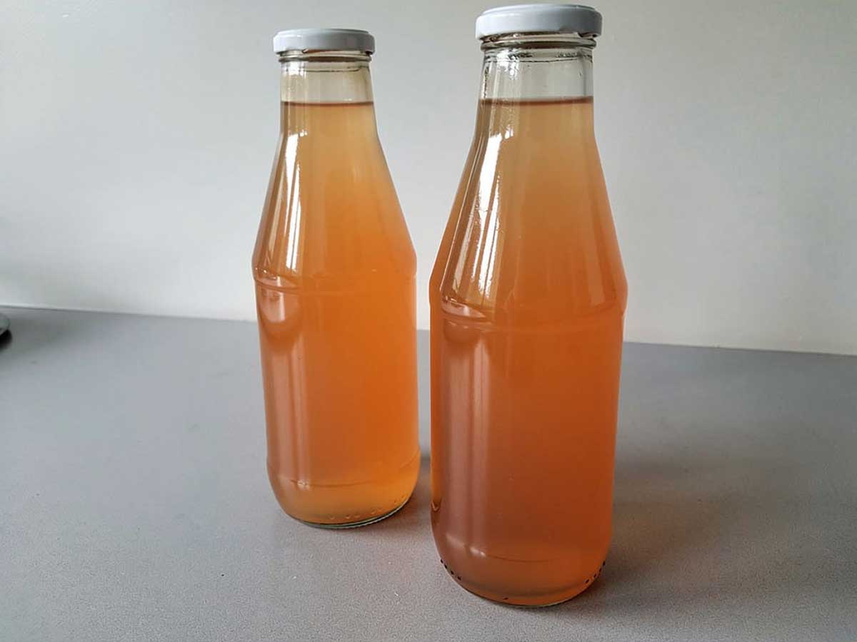 2 flessen met zelfgemaakt appel-druivensap.